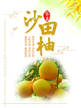 沙田柚背景