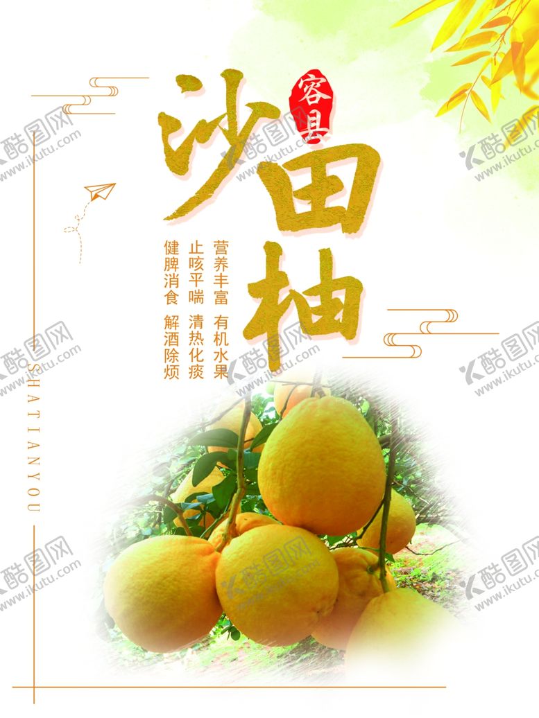 编号：90821907141523207140【酷图网】源文件下载-沙田柚海报