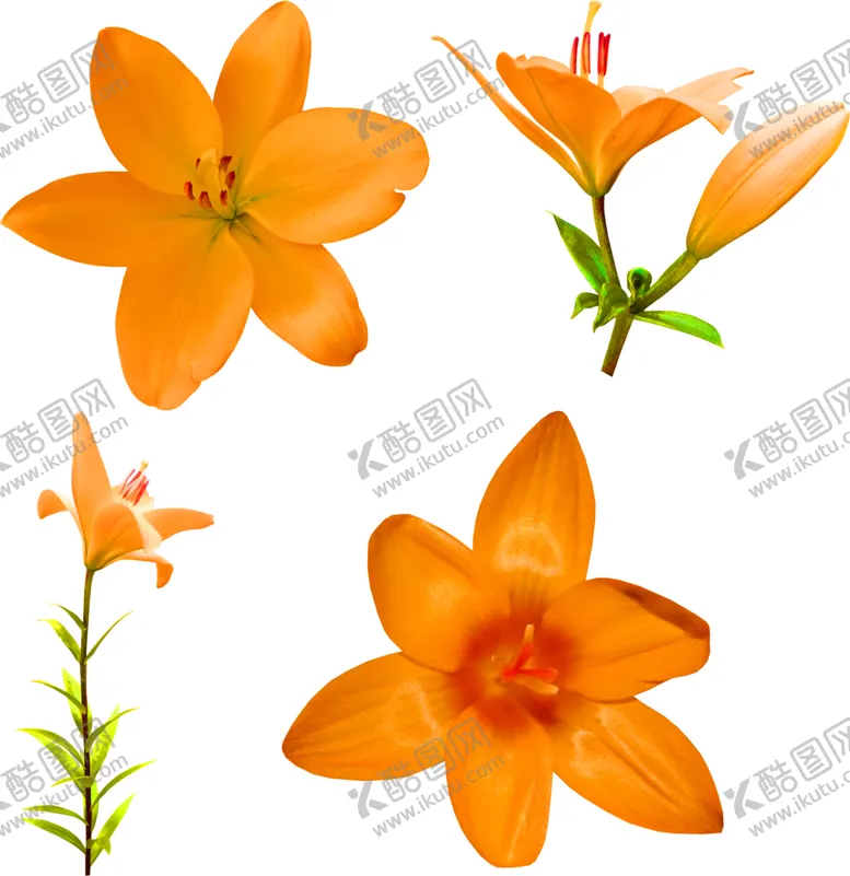 编号：58379106262121096727【酷图网】源文件下载-花素材
