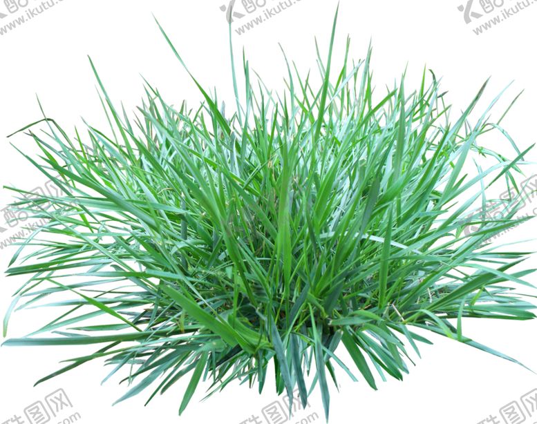 编号：66881807080301498968【酷图网】源文件下载-青草小草