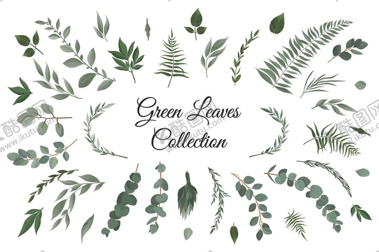 编号：65747210061623316737【酷图网】源文件下载-花卉卡片