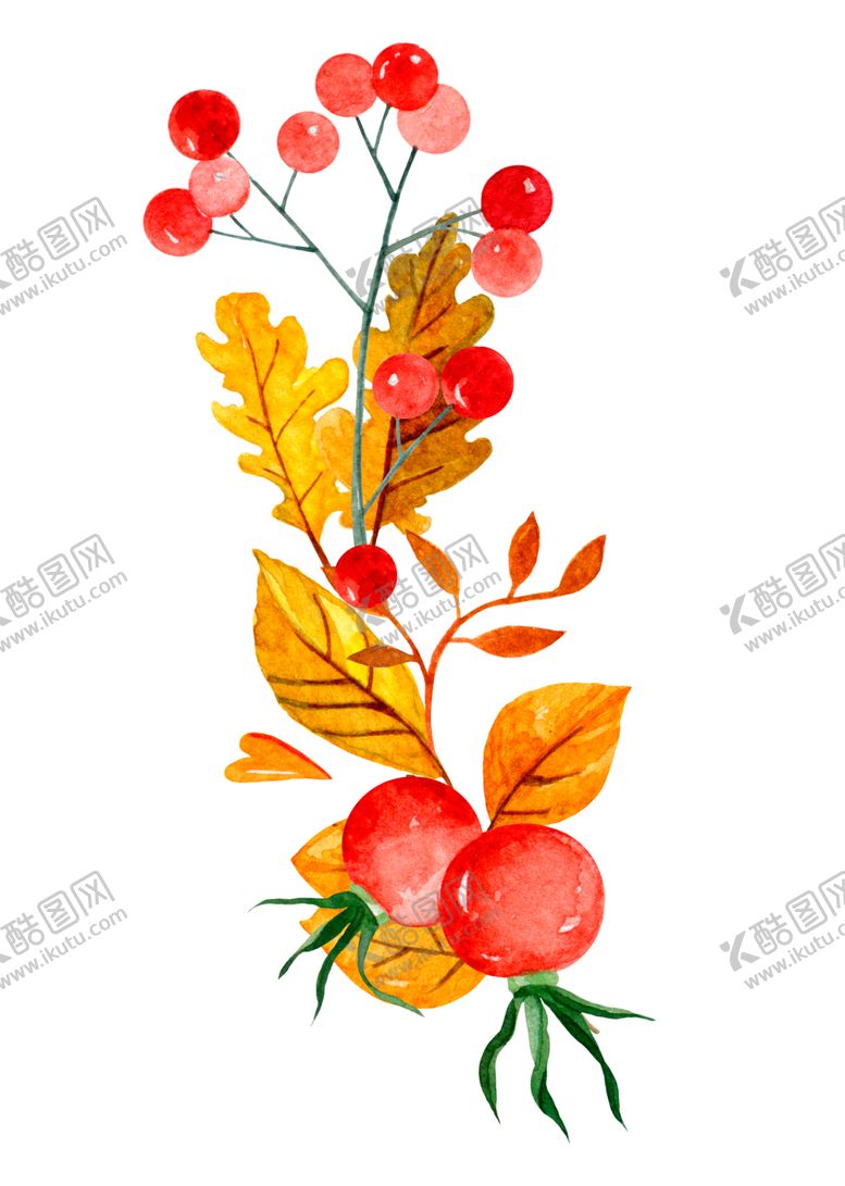 编号：75612505090431051427【酷图网】源文件下载-森系清新植物
