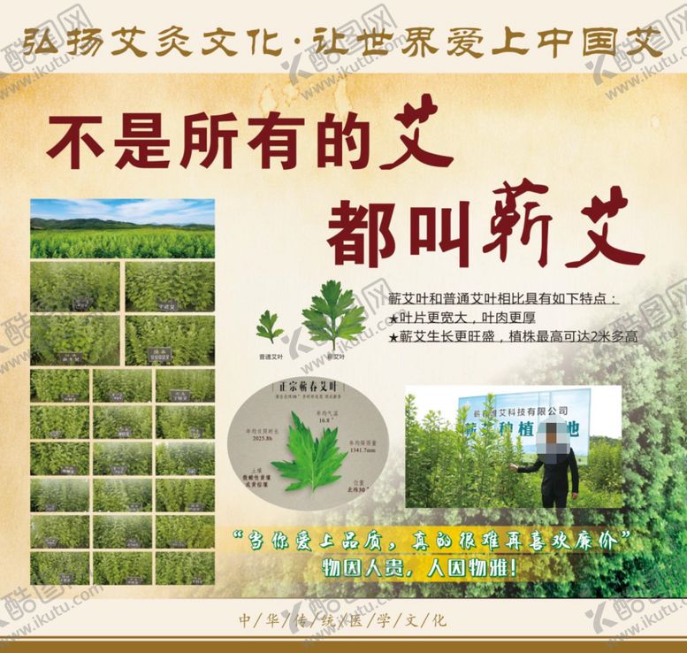 编号：80511510180534099794【酷图网】源文件下载-不是所有的艾都叫蕲艾