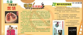吸烟危害健康健康宣传栏