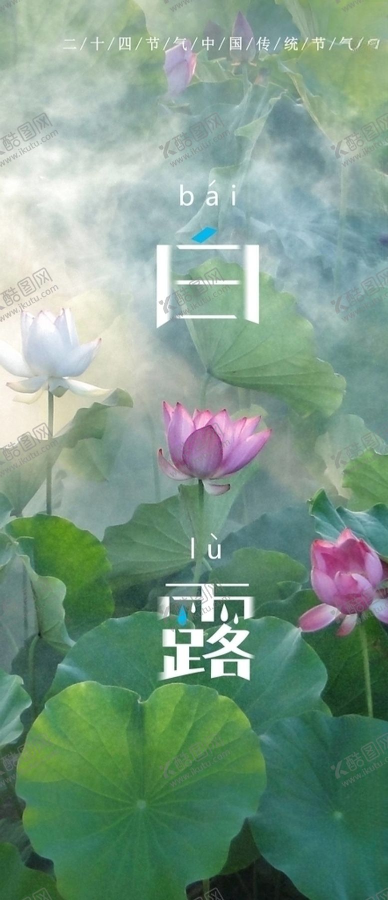 编号：43005205061818422257【酷图网】源文件下载-白露