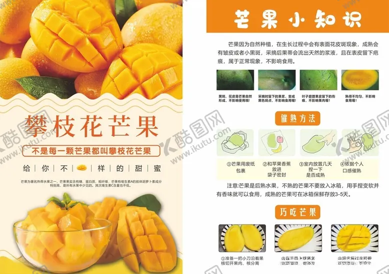 编号：69516901301719343430【酷图网】源文件下载-芒果小知识宣传单