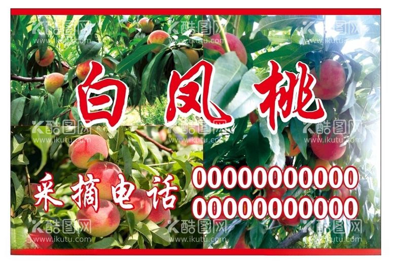 编号：27995212142346342041【酷图网】源文件下载-白凤桃