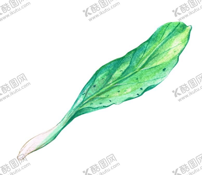 编号：68499710290429508502【酷图网】源文件下载-蔬菜