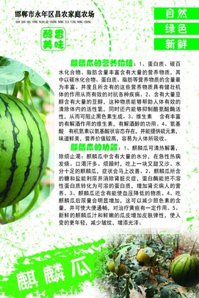 蔬菜介绍