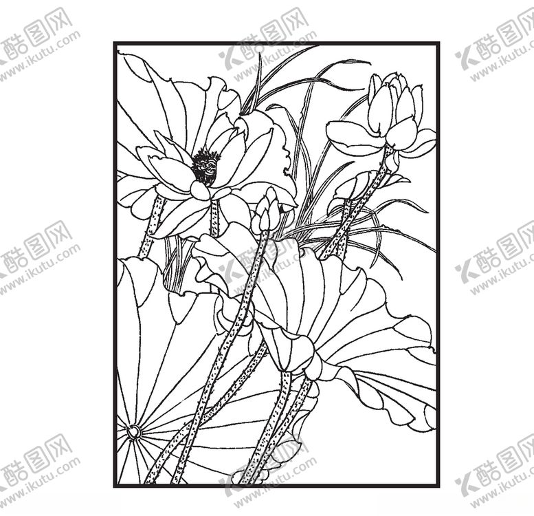 编号：56485006301020563914【酷图网】源文件下载-荷花