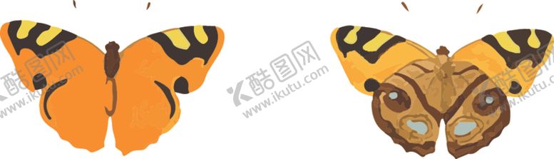 编号：95647209161752067181【酷图网】源文件下载-蝴蝶昆虫插画