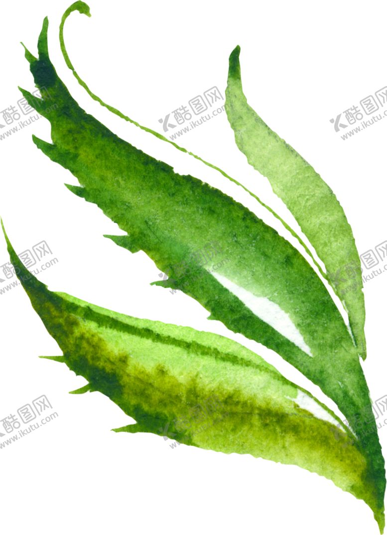 编号：11675306160805595922【酷图网】源文件下载-水彩手绘花卉花朵植物