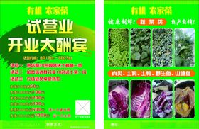 有机农家菜宣传单