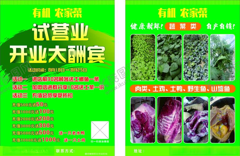 编号：98890511202307566331【酷图网】源文件下载-有机农家菜宣传单