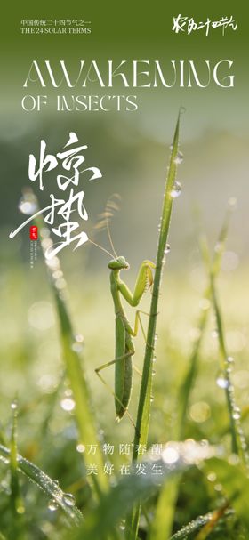 24节气传统节日惊蛰海报