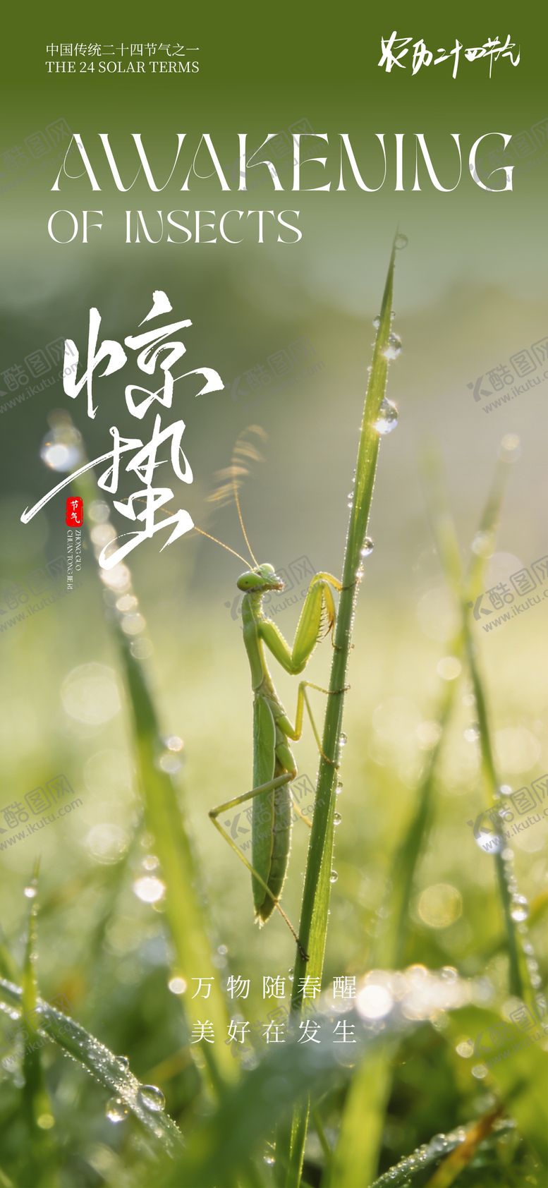 编号：98769102160226191480【酷图网】源文件下载-24节气传统节日惊蛰海报