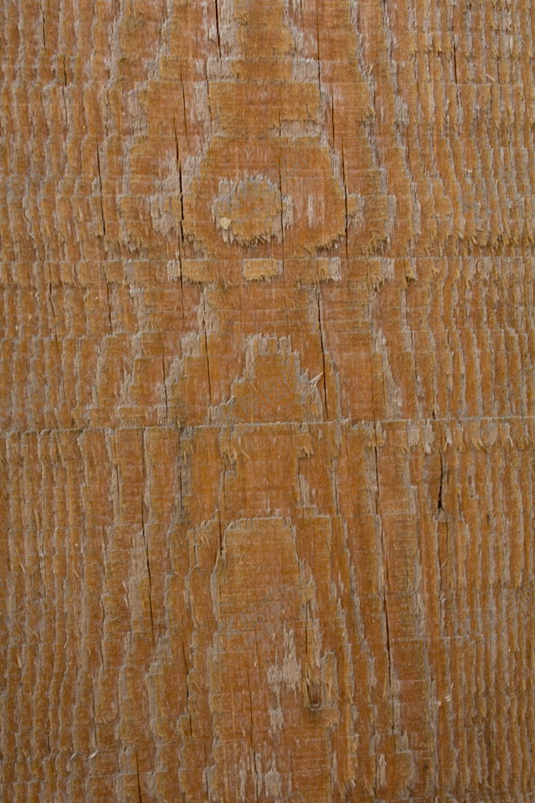 编号：50983710290346336727【酷图网】源文件下载-树皮