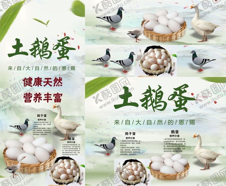 编号：85327402221934581974【酷图网】源文件下载-鹅蛋