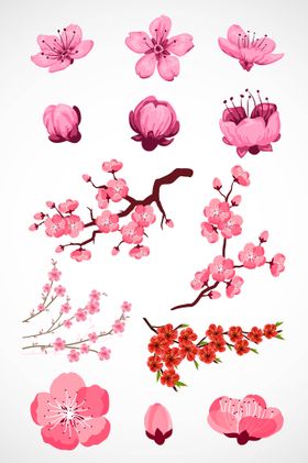 粉色桃花