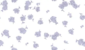 碎花