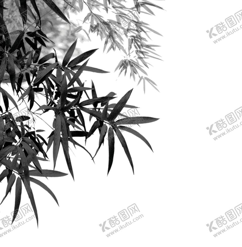 编号：84161807090247209943【酷图网】源文件下载-水墨竹子