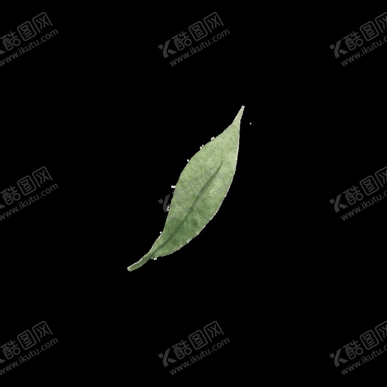 编号：28822111022333465935【酷图网】源文件下载-水彩树叶树枝 