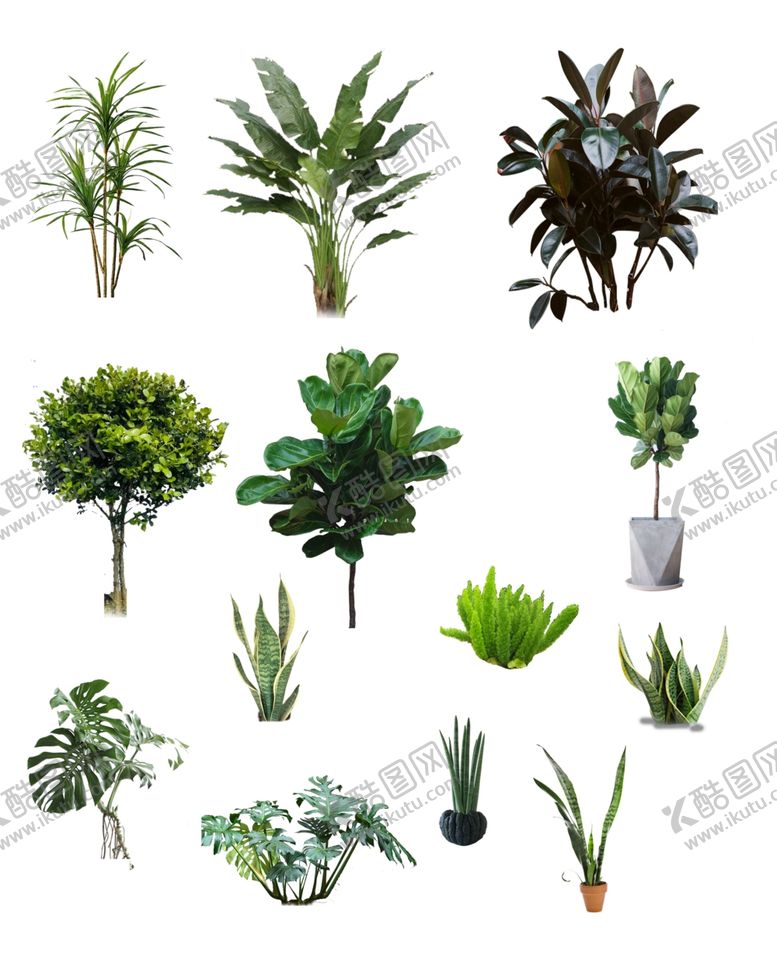 编号：38123303140012365208【酷图网】源文件下载-北欧风格植物
