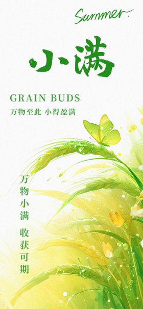 二十四节气小满节气海报