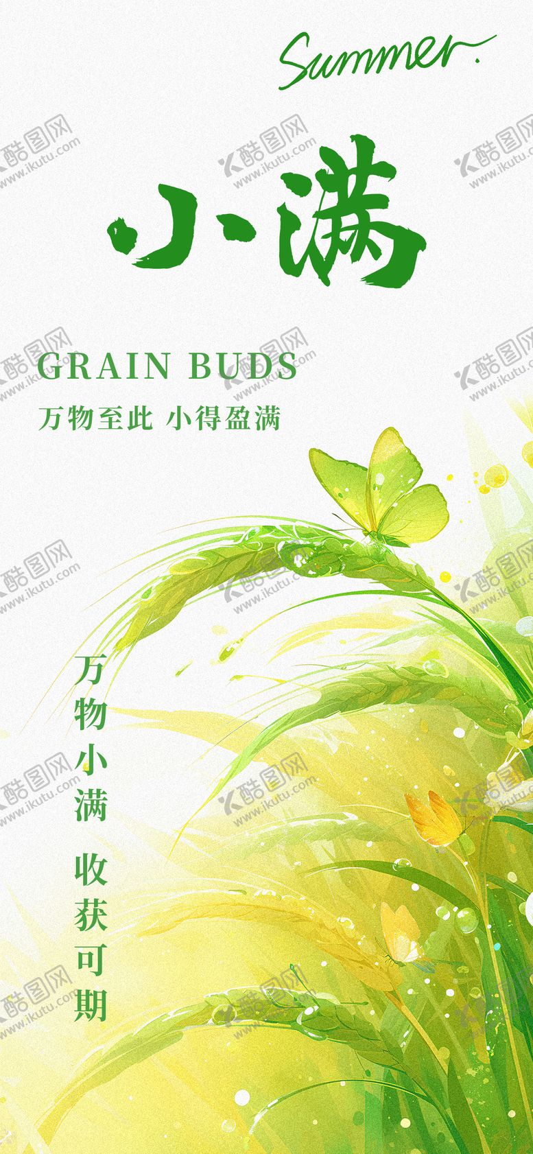 编号：40318705112321489219【酷图网】源文件下载-二十四节气小满节气海报