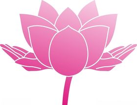 手护莲花