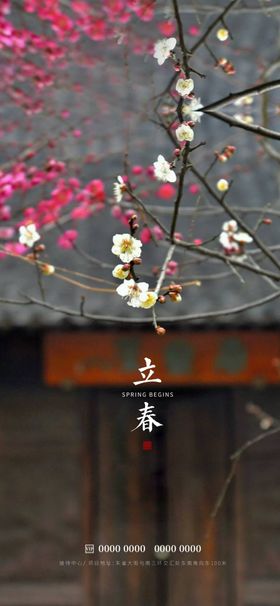 立春季棕色清明