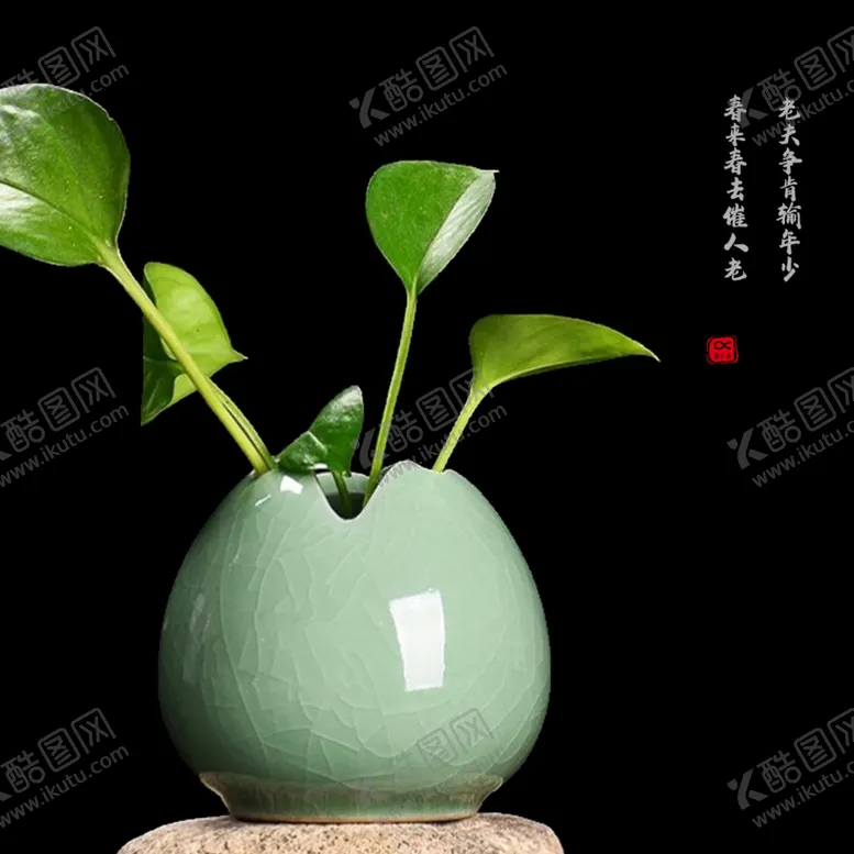编号：25697309230038397916【酷图网】源文件下载-插花
