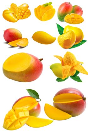 芒果