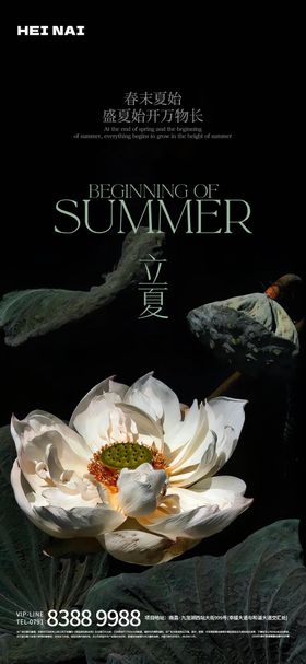 二十四节气立夏荷花意境海报