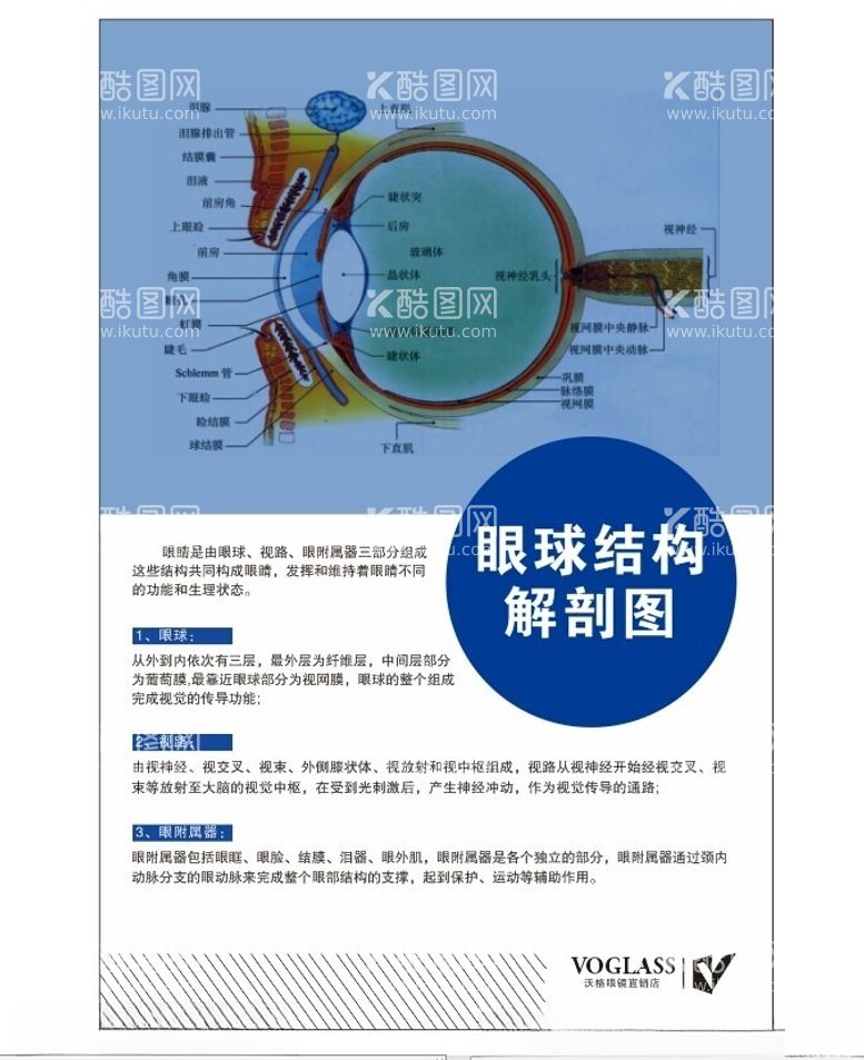 编号：23069012181320292066【酷图网】源文件下载-眼睛结构图