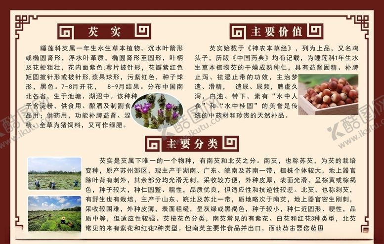 编号：62045007070707034060【酷图网】源文件下载-芡实
