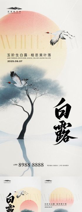 白露纹理插画系列海报