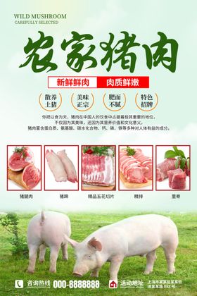 农家猪肉活动海报