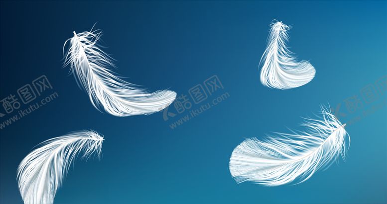 编号：32676510231001167214【酷图网】源文件下载-羽毛素材