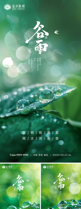 谷雨节气系列海报