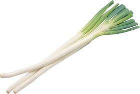 大葱