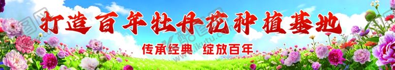 编号：25195205241146359917【酷图网】源文件下载-牡丹花