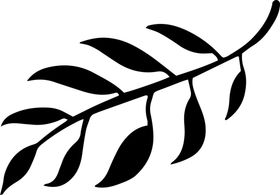 树枝树叶
