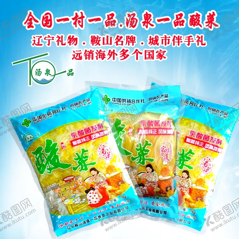 编号：92144002010325105367【酷图网】源文件下载-东北酸菜