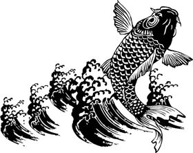 水花免扣