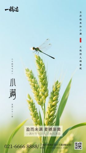 0513小满地产电子海报
