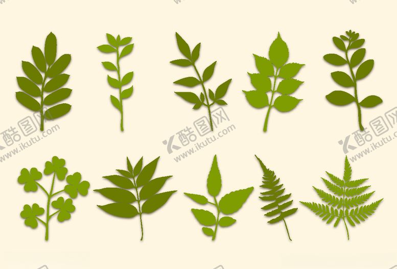 编号：61335310011257396961【酷图网】源文件下载-植物叶子矢量图