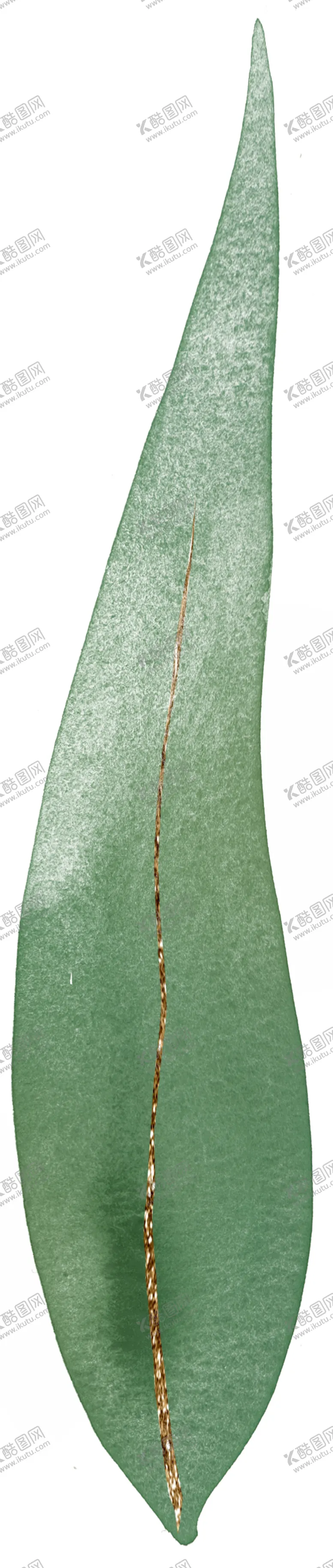 编号：25630107010514196141【酷图网】源文件下载-北欧小清新水彩植物图案