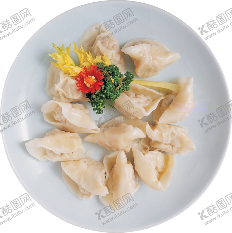 编号：73137202060950323865【酷图网】源文件下载-饺子图片