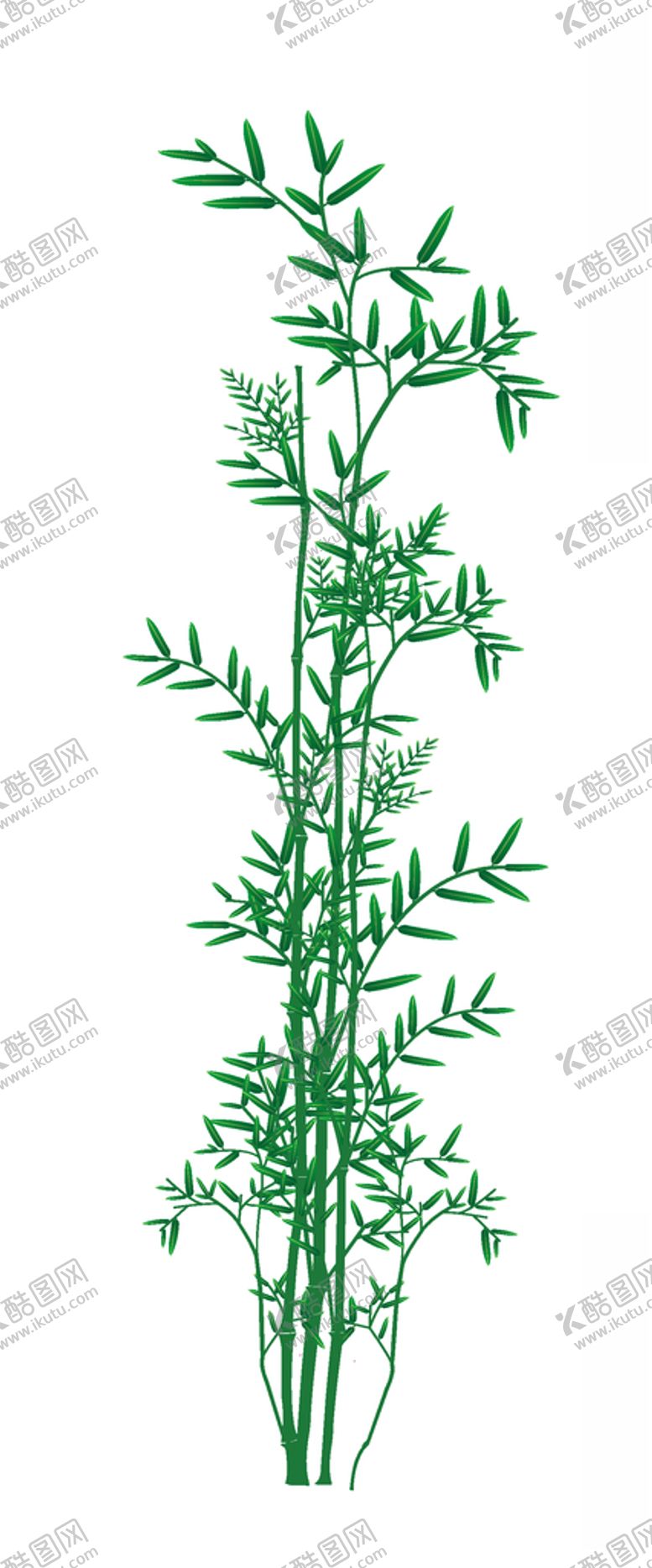 编号：62660504181407298755【酷图网】源文件下载-竹子